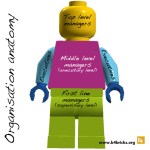 Organisations as organisms: consciousness and wellness